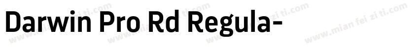 Darwin Pro Rd Regula字体转换